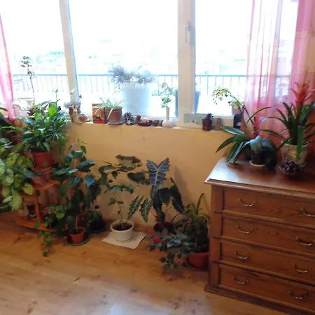 Panorama Apartment